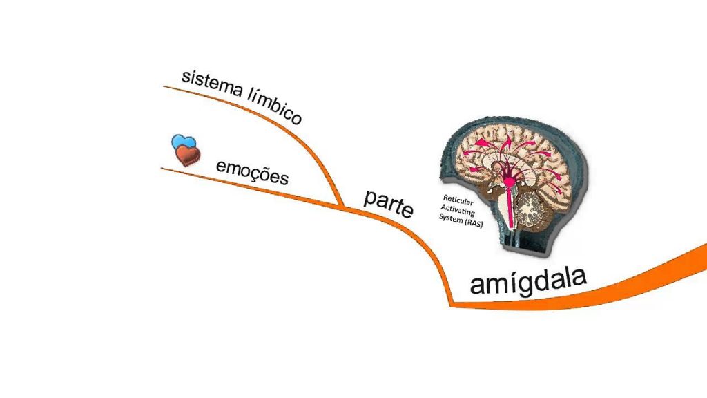 MA #16 – Instinto de aprender (parte 1/2)